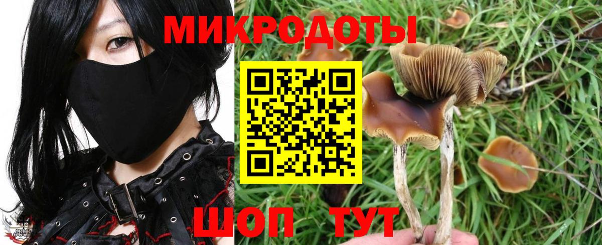 Богородск  Галлюциногенные грибы GOLDEN TEACHER  Вход с VPN  где купить наркоту  Псилоцибиновые грибы Cubensis 