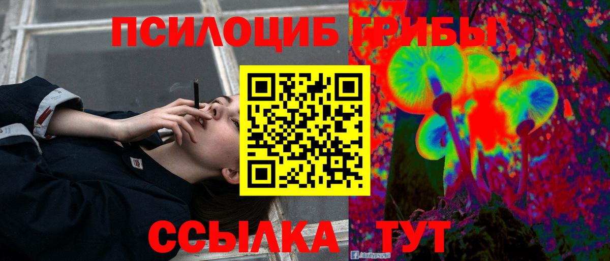 Псилоцибиновые грибы GOLDEN TEACHER Богородск